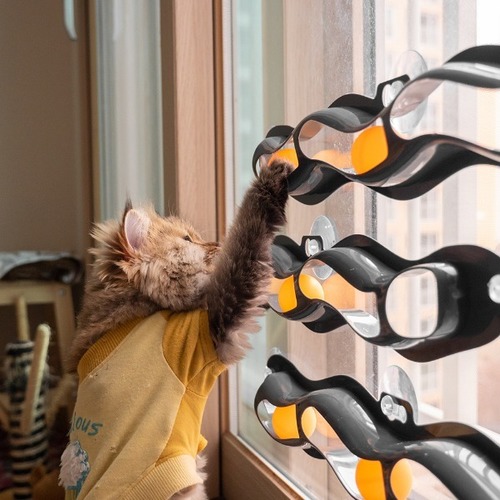바나나빌딩냥캣 트랙볼 고양이 셀프 장난감 [B.N]